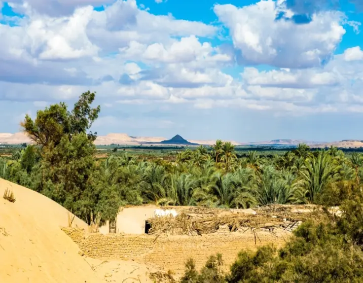 4 Days Camping Tour in White Desert from Cairo